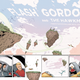 Flash Gordon #5 colors by Bellaire